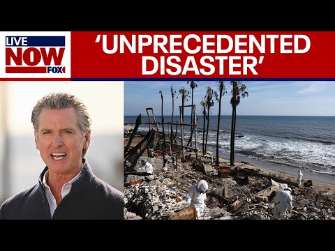 Video | LA wildfire response: Newsom asks Congress for nearly $40B in aid | LiveNOW from FOX