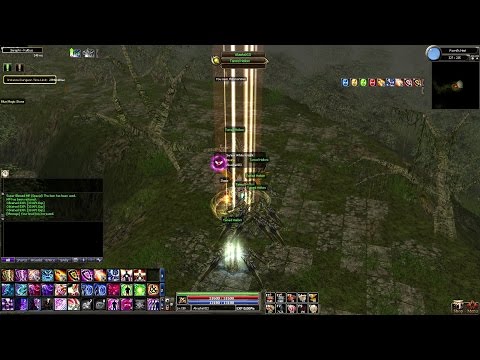 Inside The Dungeon...This Happened (Dekaron)