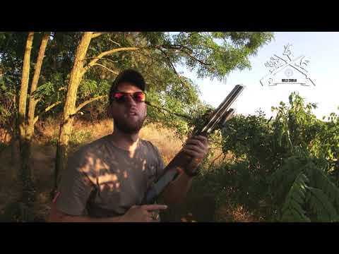 E144 Lov Goluba Grivnaša sa lokerima - Aimpoint S1/ Pigeon hunt over decoys with Aimpoint S1