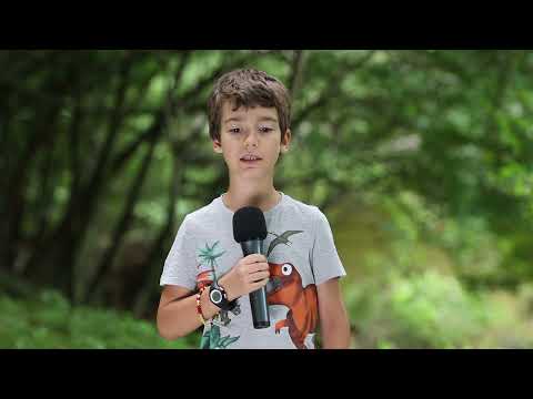 Buletin Meteo din Tabara TV - Radu Alexandru