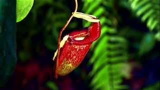 A COOL JAZZ PLAYLIST  FOR GABRIELA