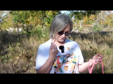 Purina Presents: Meet Jake in Pet of the Week - YouTube