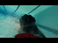Canoe S Roll