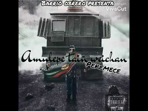 Amulepe taiñ weichan🔥🛸🎧