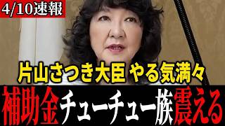 【衝撃】片山さつき財務大臣が「日本版DOGE」で無駄補助金にメス！国民の声3.7万件が政治を動かす全貌とその実態