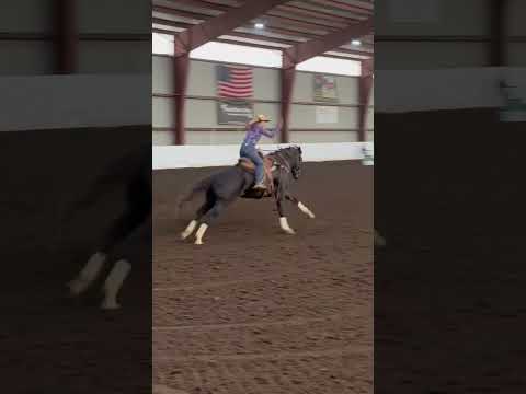 Rocky Top Arena video thumbnail