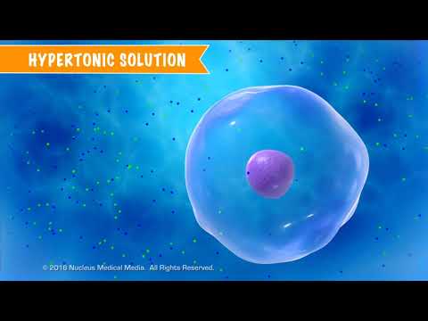 Cell Transport and Solutions