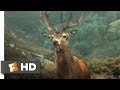 The Stag Scene - The Queen (2006) | Movieclips