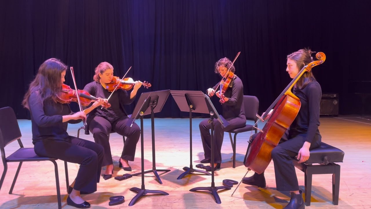 Promotional video thumbnail 5 for Cellist, Sophie