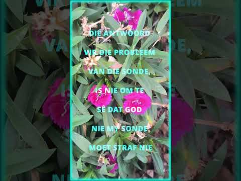 149 ONREGVERDIG AS GOD STRAF