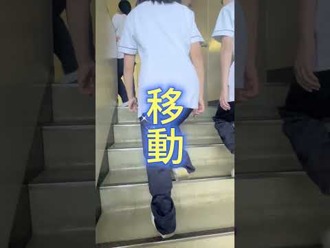 2026年度パンフレットオフショット#shorts #パンフレット #短大