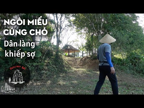 Ngôi miếu thiêng chỉ được cúng chó ở Hoà Bình