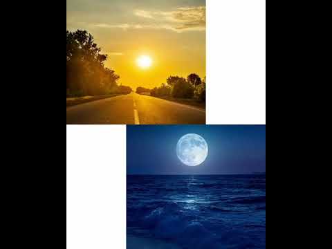 Patience Dabany – Mili Dza