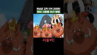원피스) 현상금 고작 13억 퀸이 사황 빅맘을 이긴 방법