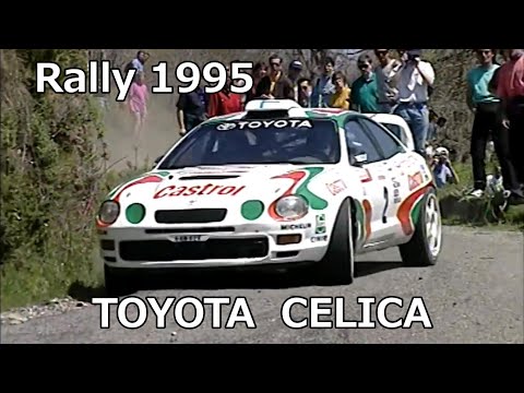 1995 年世界ラリー選手権 - 定義