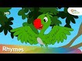 Parrot Tamil Nursery Rhyme For Children Popular Tamil Rhymes Shemaroo Kids Tamil