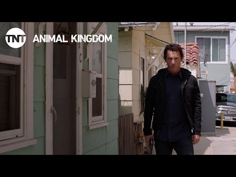 Animal Kingdom: Betrayal - Season 2, Ep. 13 [PROMO] | TNT