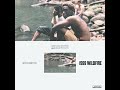 Brockhampton 1999 Wildfire