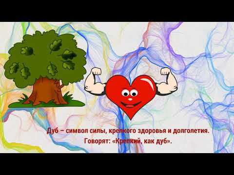 Слово к слову: Дуб
