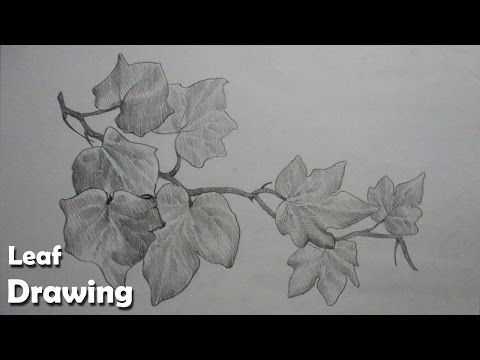 Mountains and Pine Tress Watercolor Pencil Landscape Drawing | steps to follow