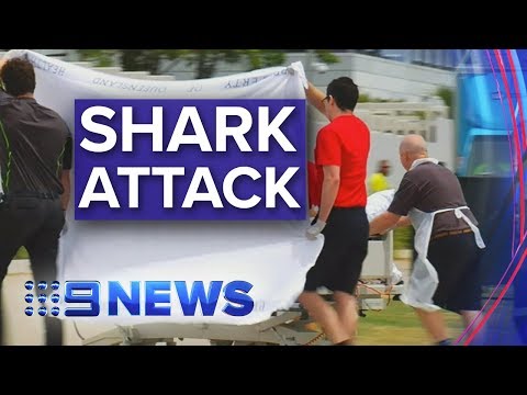 Two British tourists savaged by shark in Whitsundays | Nine News Australia