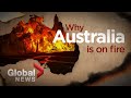 Bushfires in Australia: What ignited the deadly crisis
