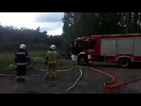 Pożar w Puszczy Bieniszewskiej