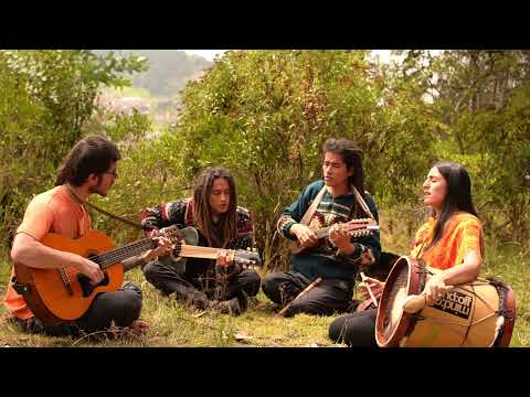 La semilla (canción original de Shimshai) - COLOR VAYU & MALLKU