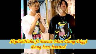 Skull&Haha ft Beenie Man-Dang Diggi Bang bass boosted