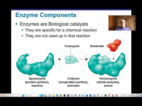 Ch 5 Part I Microbial Metabolism