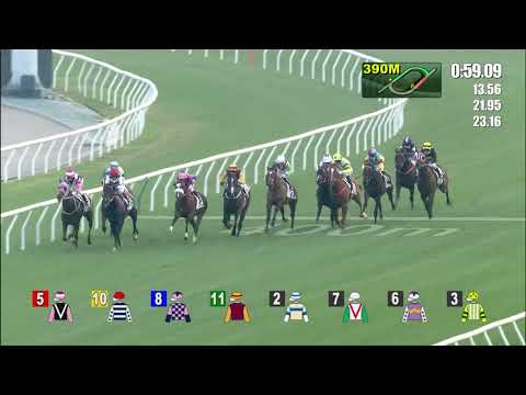 1/1/2022 (307) Packing Victory - A Badel