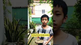 Download lagu Can a rock grow??? mp3 Download lagu Can a rock grow??? mp3