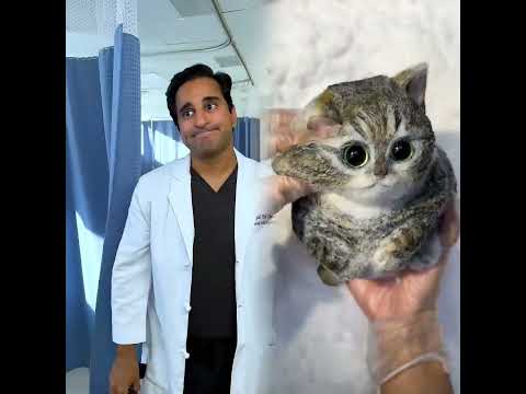 This is so funny, l couldn't stop laughing #funny#kpop#kpopdemonhunters#student #school #teachers