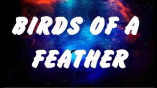 Billie Eilish - BIRDS OF A FEATHER (Lyrics),Ed Sheeran,Lana Del Rey
