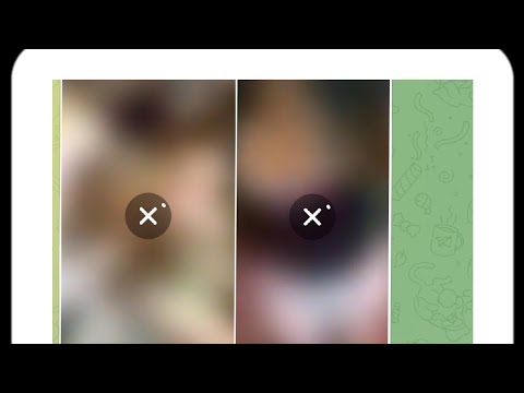 Bunni3png Telegram