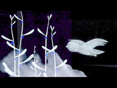 Crystin Fawn and the sea & the sun