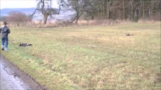 AMEWI BUGGY PITBULL X 4WD