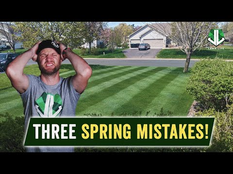 3 Things NOT TO DO this Spring with your LAWN!