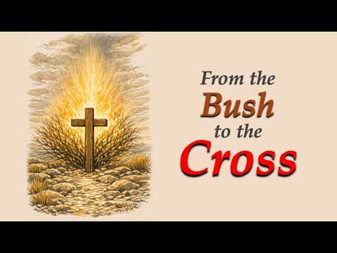 From Bush to the Cross