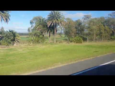 Pueblo GREGORIO AZNARES MALDONADO #parati #viral #shotrs #uruguay #amazon