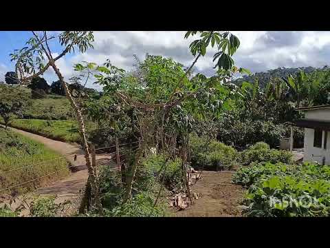 ZAP DO CANAL 7599783797 VEJA A SIMPLICIDADE DO SÍTIO RIACHO DA CRUZ 