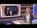 GLD Nieuws 21 juli 2020