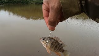 ELAS TOMARAM CONTA DESSE POÇO PESCARIA INACREDITÁVEL!!!