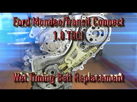 Ford Mondeo/Transit Connect 1.8tdci wet timing belt replacement