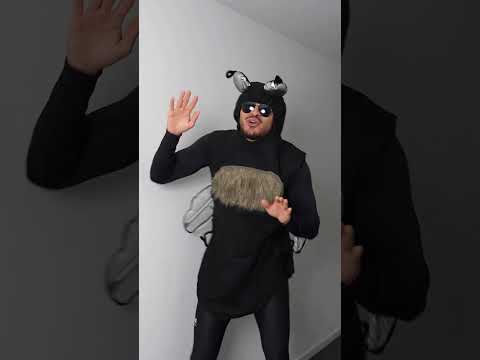 Omg diese FLIEGE hat mich SO GENERVT!😳🪰😤 #marvintsp #comedy