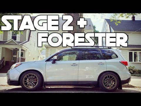 STAGE 2+ FORESTER XT - DYNO TUNED
