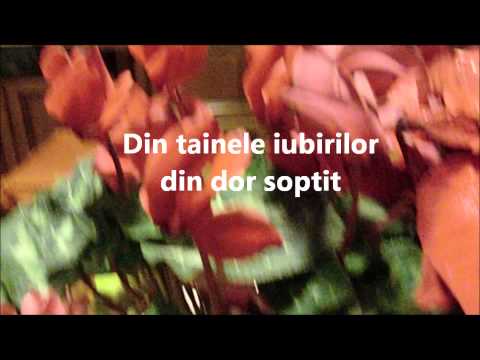 Iubirea noastra,florile !