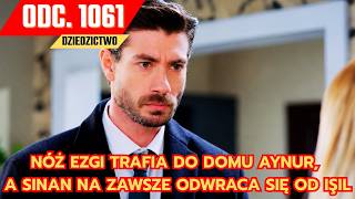Dziedzictwo, Odcinek 1061: Nóż Ezgi trafia do domu Aynur, a Sinan na zawsze odwr