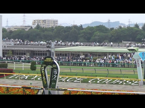 2017 ブリリアントステークス ミツバ