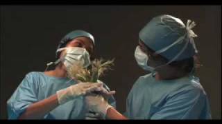 Latinsizer / Celofán  - (Nortec Collective/Fussible member)